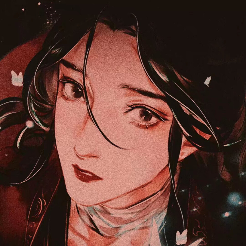 天官赐福 谢怜花城 太子殿下