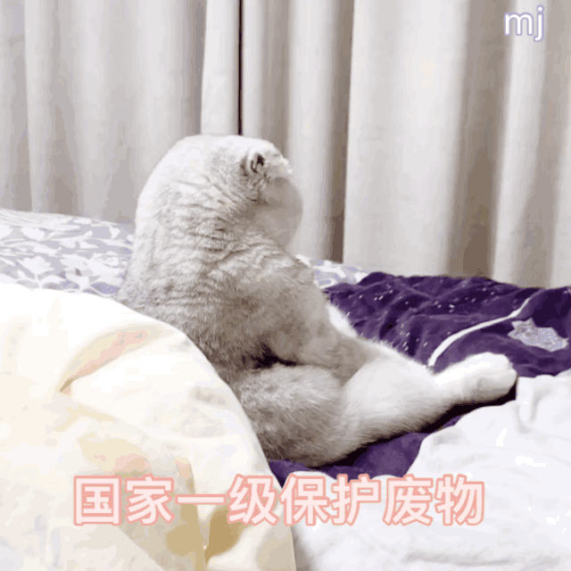 搞怪表情