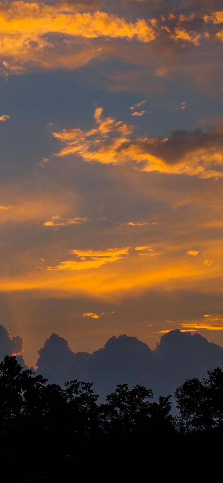 手握日月摘星辰