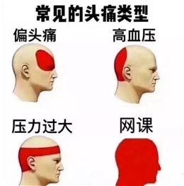 网课专用表情包