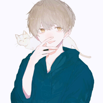 猫和少年