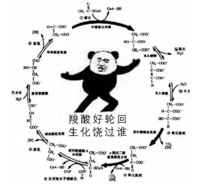 热门表情包