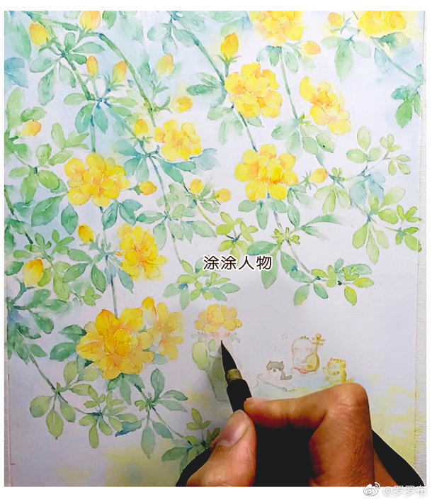 迎春花分南北，你见过哪一种？ #植物的日常# 图9是壁纸哟～ ​
cr@罗罗布