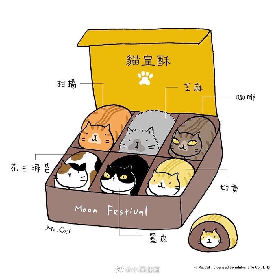 猫星人的假日时光