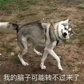 不说了 睡了