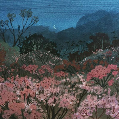 来自美国插画师 Becca Stadtlander 绘画作品一组 (转)