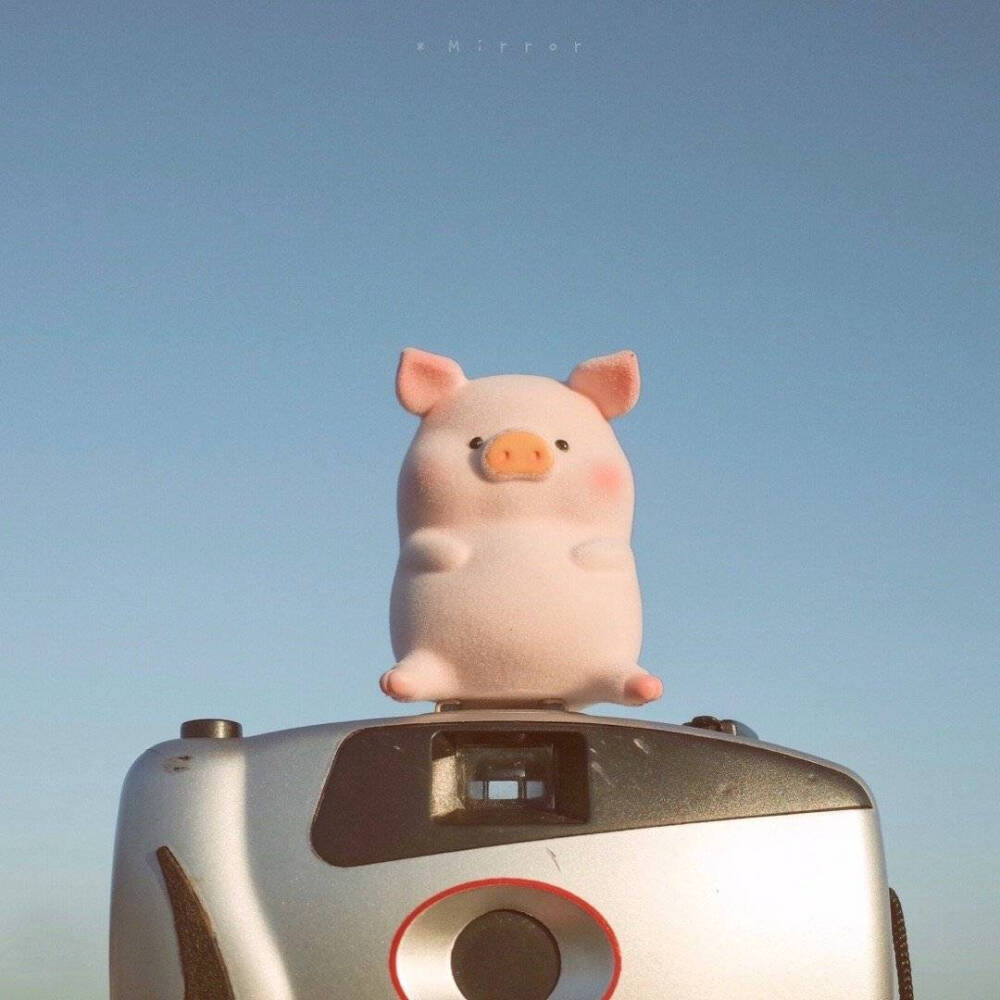 lulu猪头像背景图