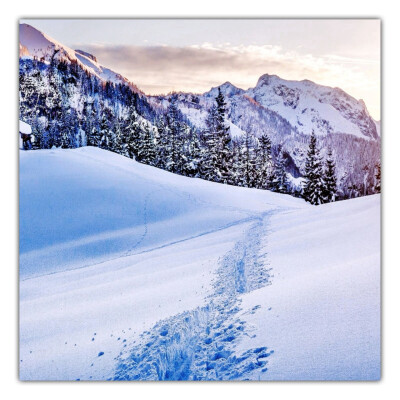 冬日 雪景 明信片