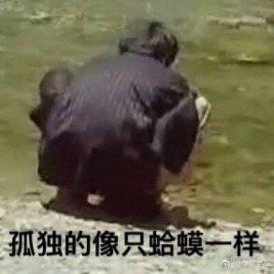 华晨宇