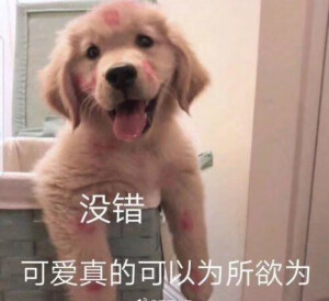可爱