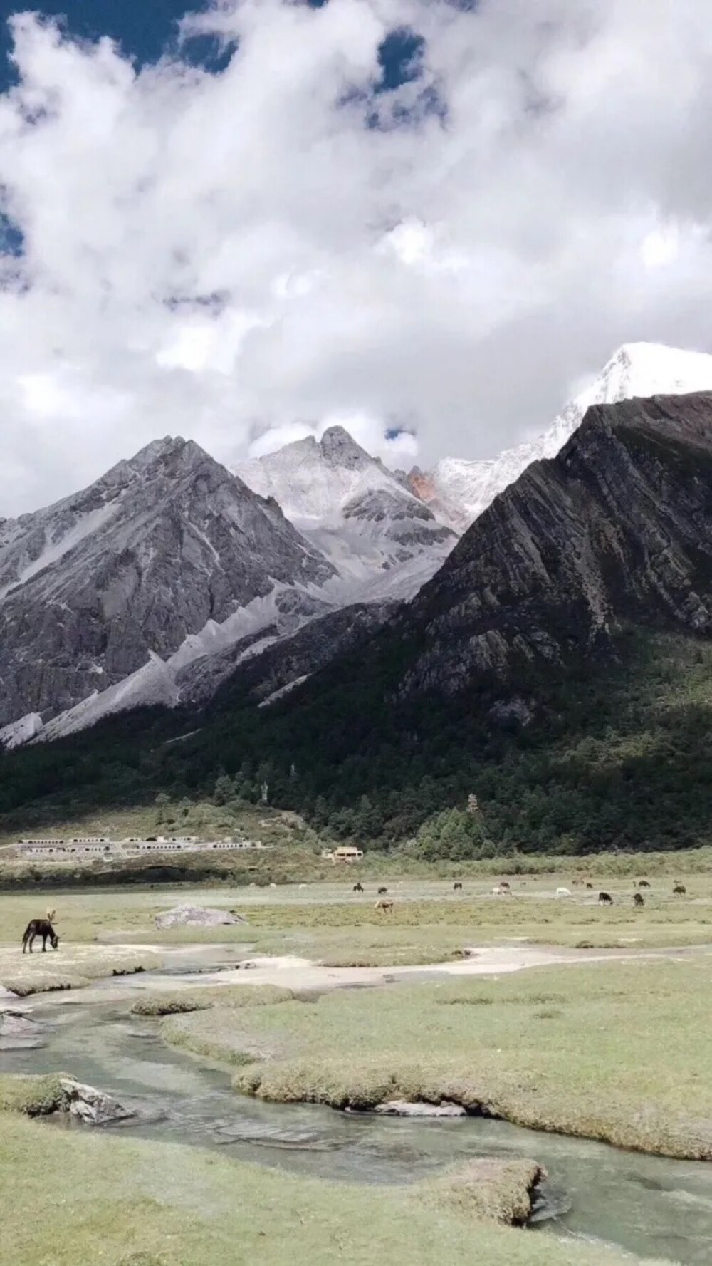 背景 壁纸 大图