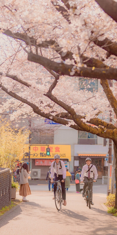 想看冰岛的极光，日本的樱花，和每天的你❤