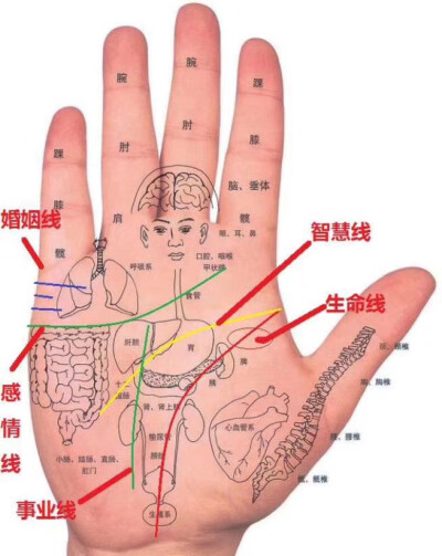 相由心生的意义在于你内在的健康，性格，经历，都可以通过外在相貌反应出来。是一种无形到有形的转变。