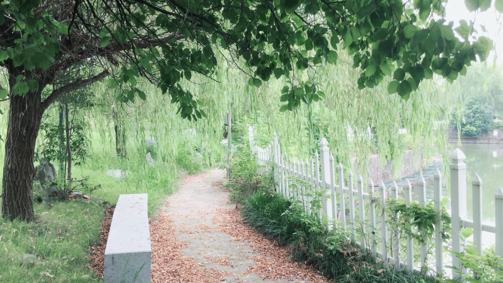 校园一角