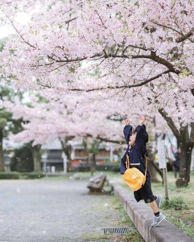 日本摄影师拍摄樱花树下的小孩真的太治愈了！