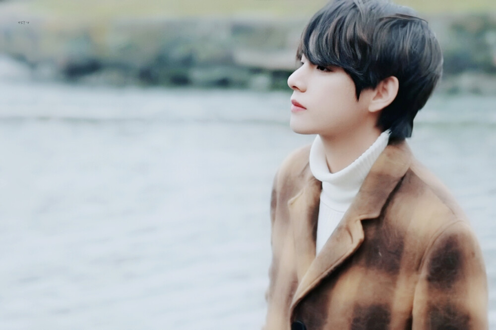 金泰亨
2020 BTS WINTER PACKAGE' PREVIEW SPOT
©HSY-V