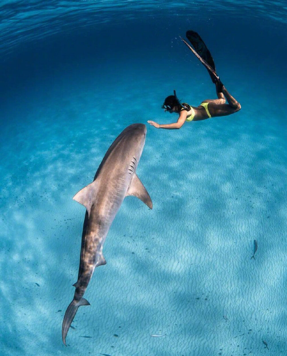 堆糖,美图壁纸兴趣社区