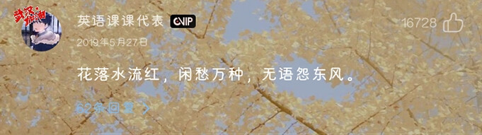 花落水流红 闲愁万种 无语怨东风 堆糖 美图壁纸兴趣社区