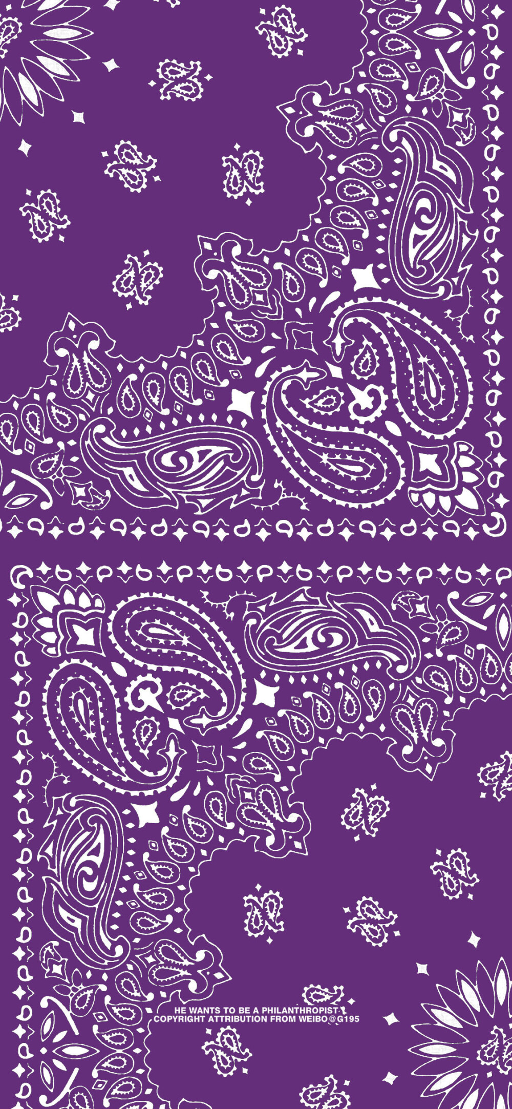 我最爱的腰果花