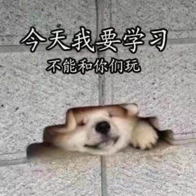 学生上网课的状态。 同学们该学习了！