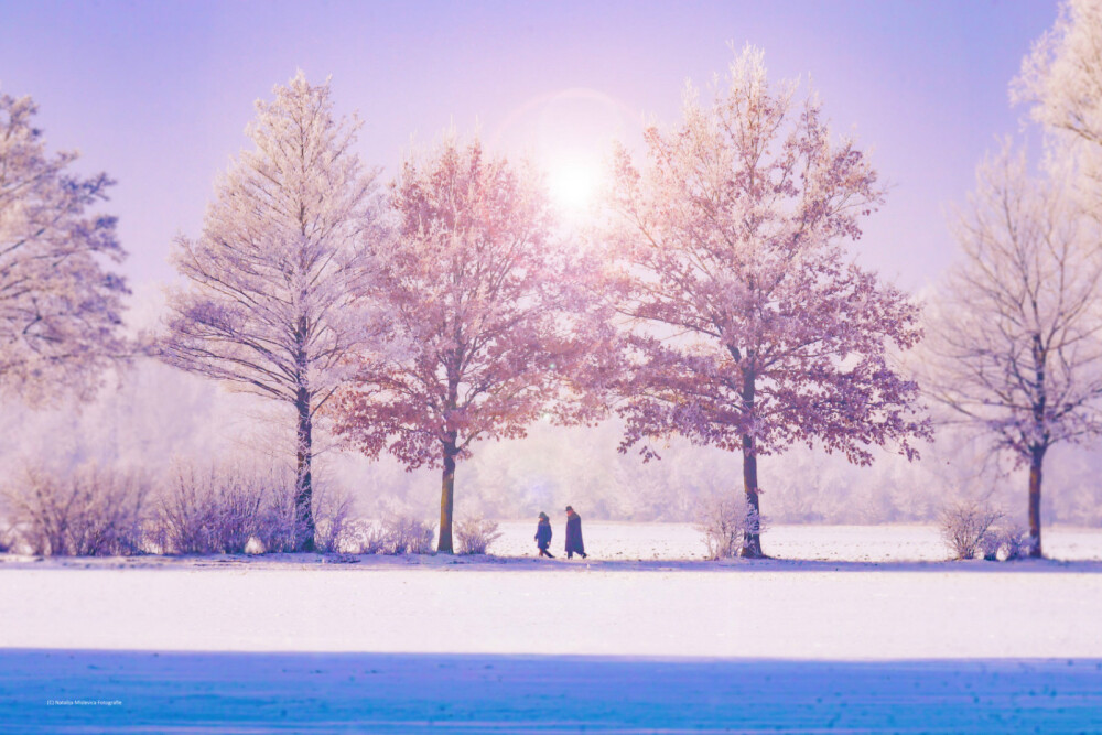 雪景