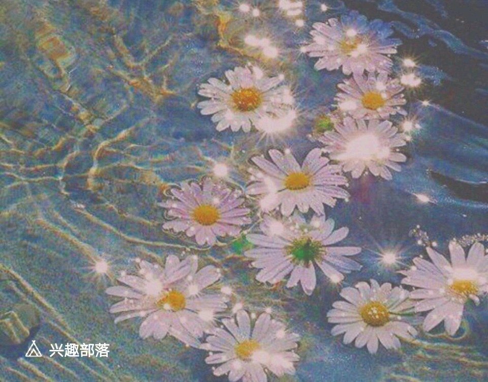 背景.头像.绿色.杂货