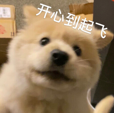 #表情包