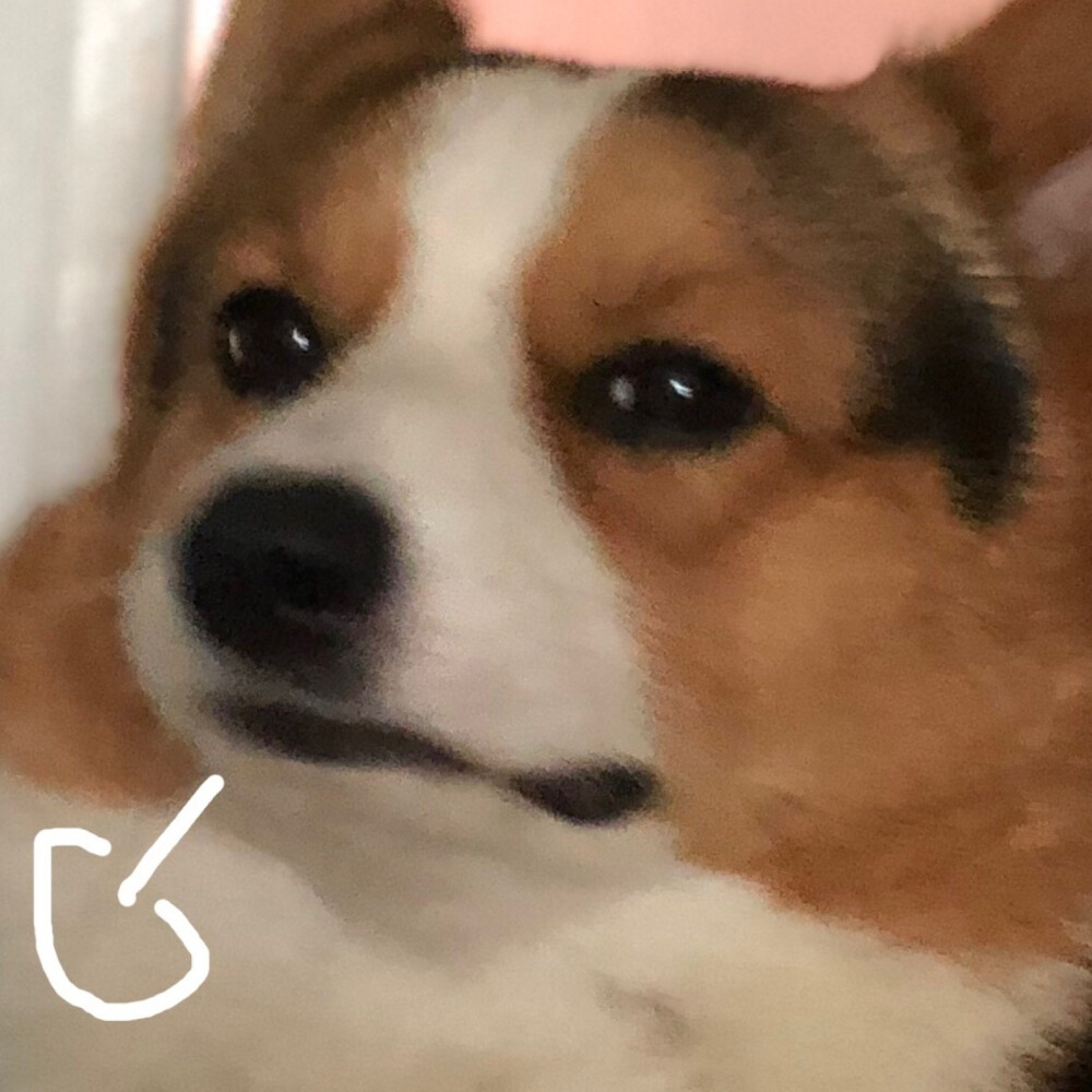 #表情包