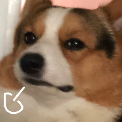 #表情包
