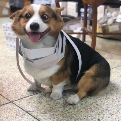 #表情包