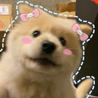 #表情包