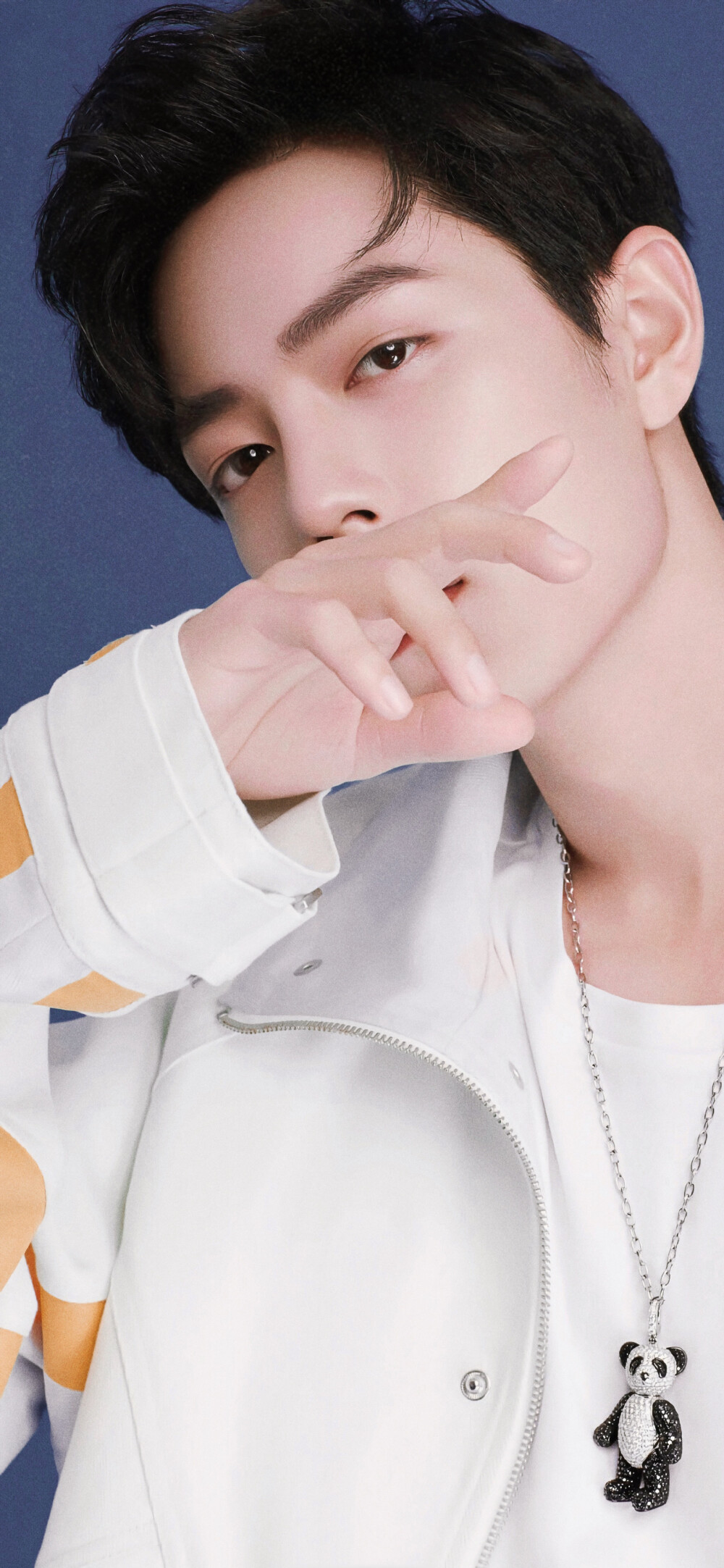 明星手机壁纸聊天背景肖战赞评论更多所有评论你也来说些什么吧