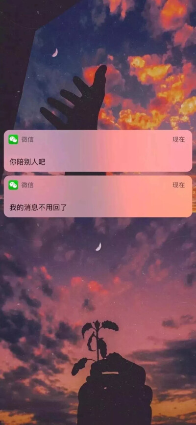 淑女