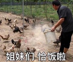 沙雕表情包 熊猫头表情包