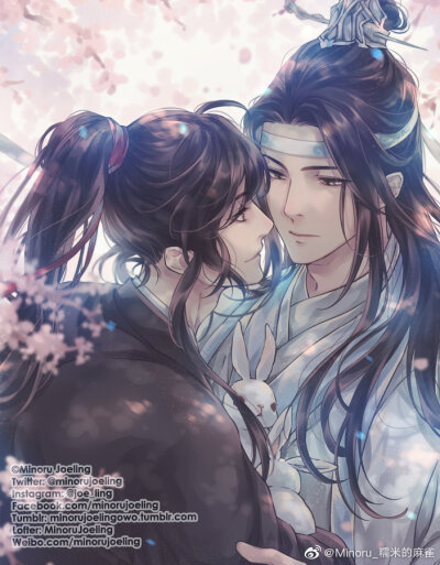 MDZS