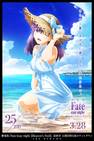 Fate/stay night