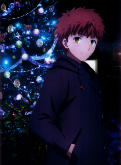 Fate/stay night