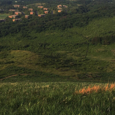 风景