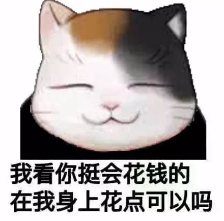 猫头