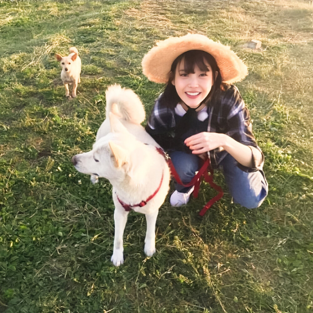 iu李知恩 孝利家民宿 清新头像壁纸