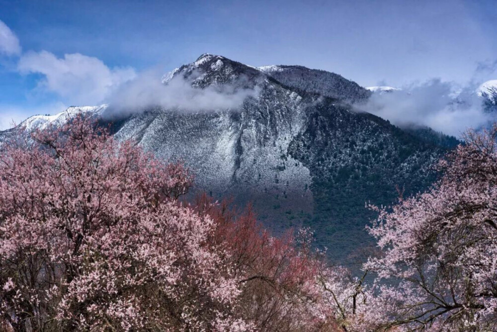 雪山