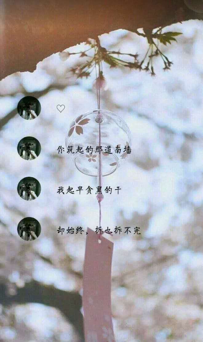 神仙背景图,带气泡聊天1