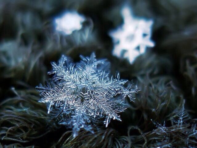 雪花