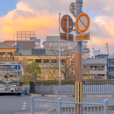 田萱栀子