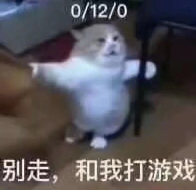 毛绒绒表情包，猫咪