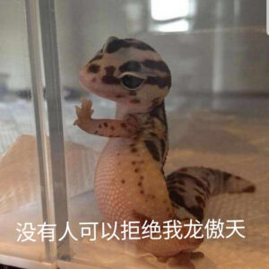 小人 表情包 - 高清图片,堆糖,美图壁纸兴趣社区