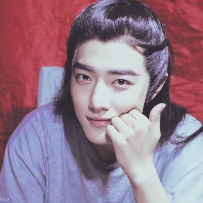 肖战 · 斗破苍穹 · 林修崖