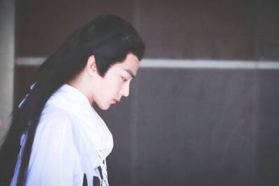 肖战 · 斗破苍穹 · 林修崖