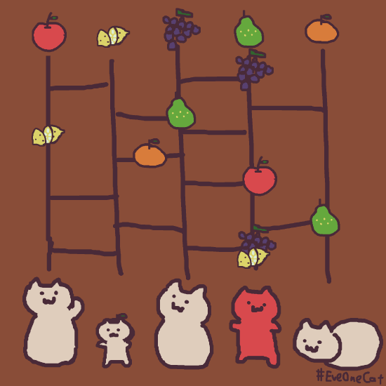 #eveonecat 吃水果
gif动图表情包