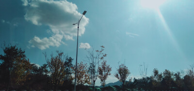 晴天 太阳 ☁️云 树影 风景 黄山